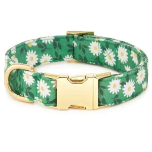 Coming Up Daisies Dog Collar(Made in the USA)