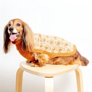 Buttercup Alpaca Dog Sweater (FINAL SALE)