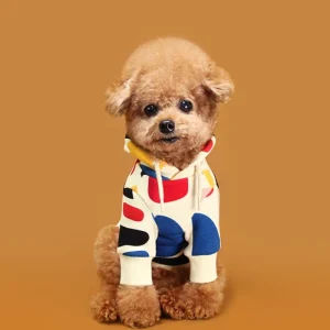 Colorful Design Dog Hoodie in Ivory