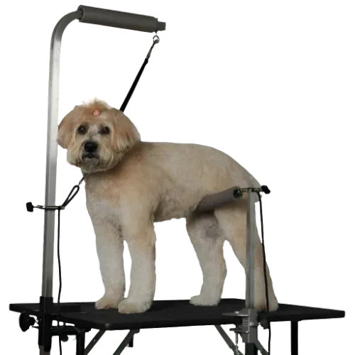 Groomer's Helper Professional Set - Image 2
