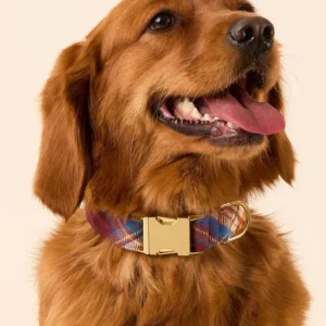 Marlow Plaid Flannel Dog Collar (Made in the USA)