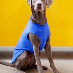 Stretch Fleece Pullover in Cornflower Blue