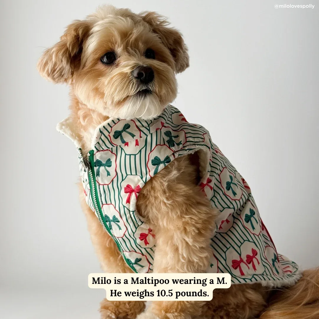 Wrap it Up Reversible Teddy Vest - Image 2