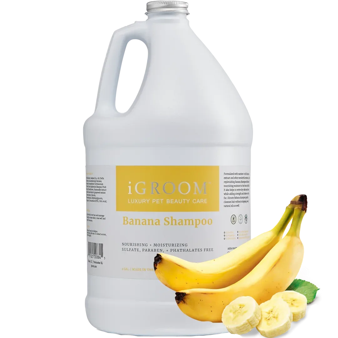 Banana Shampoo Gallon by iGroom - Image 2