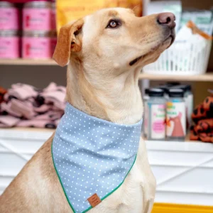 Chambray Dots Dog Bandana