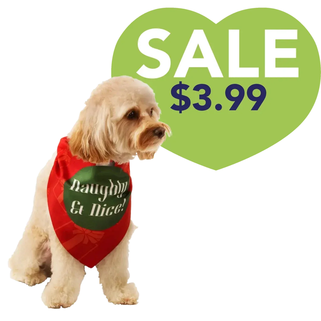 Naughty & Nice Holiday Dog Bandana by Dog Fashion Living
