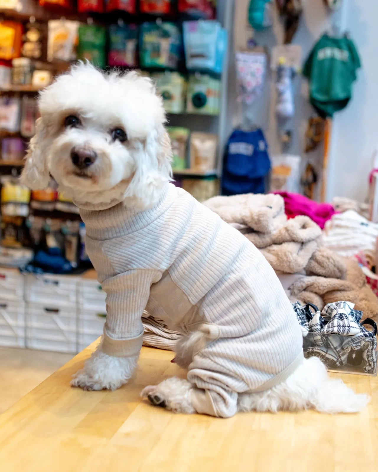 High-Neck Dog Onesie in Beige (FINAL SALE) - Image 2