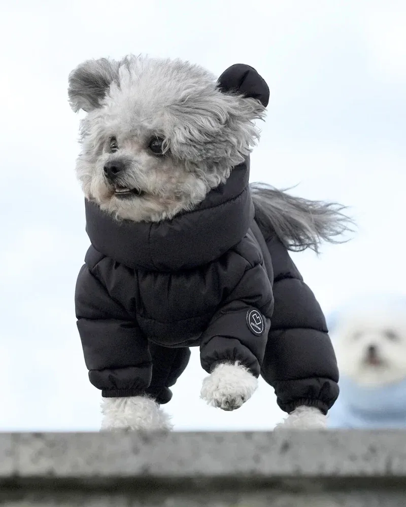 Padded Goosefeel Winter Coverall for Dogs