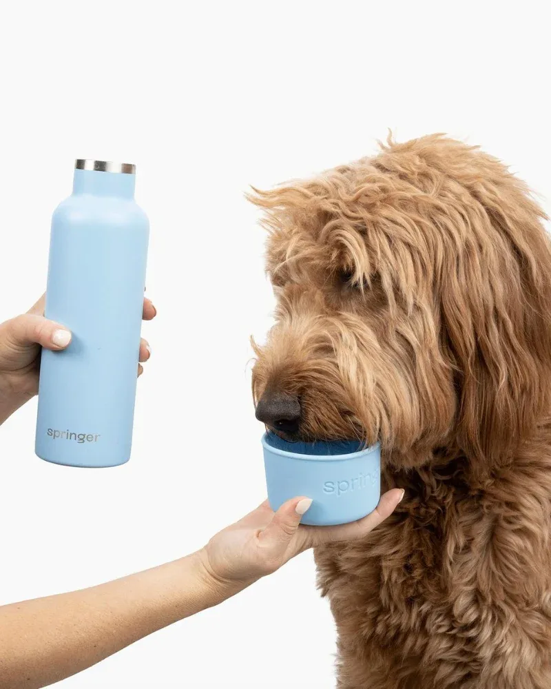 Dog & Me Water Bottle w/ Bowl in White (24oz) - Image 2