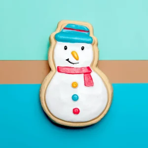 Winter Snowman Latex Squeaky Dog Toy