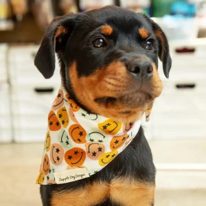 Groovy Smile Dog Bandana (Made in the USA)