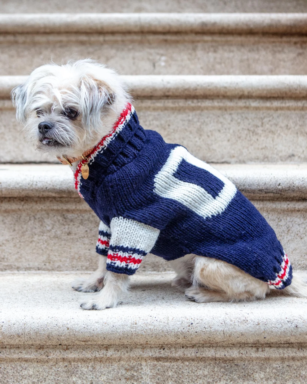Varsity Wool Dog Sweater (FINAL SALE)