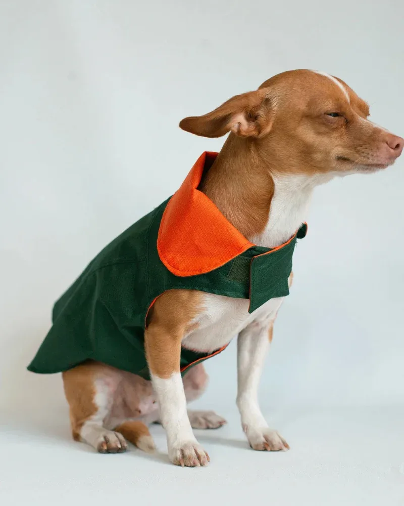 Reversible Dog Raincoat - Image 2