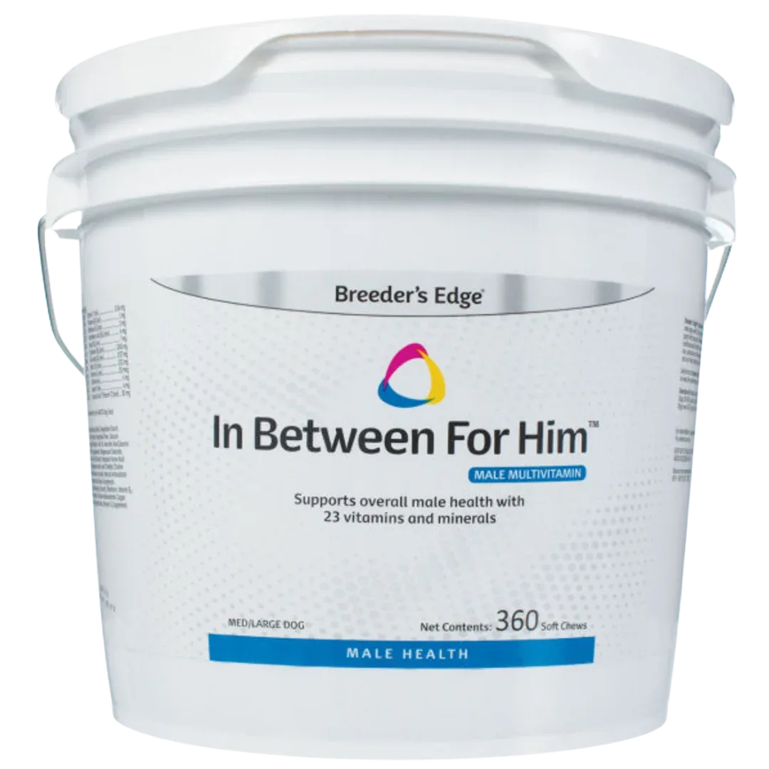 In Between For Him 360ct Medium/Large Dog by Breeder's Edge