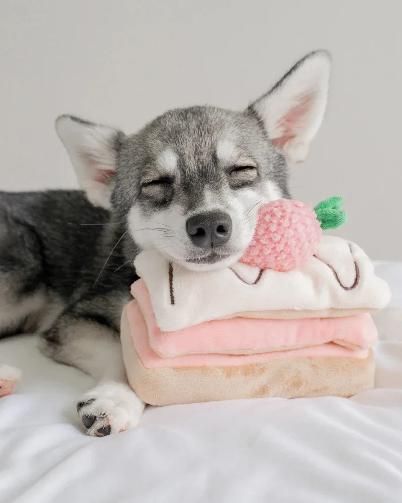 Strawberry Mille-Feuille Nosework Dog Toy (FINAL SALE) - Image 2