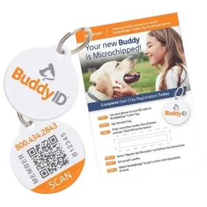BuddyBadge Collar Tag with Registration by BuddyID