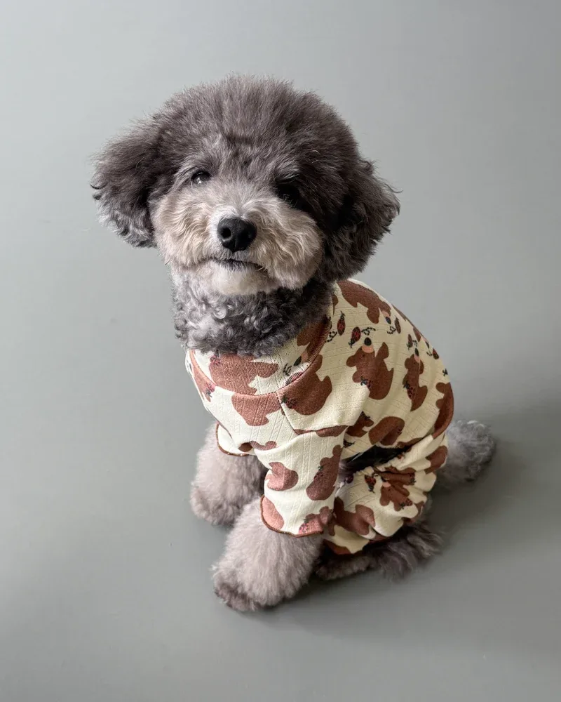 Bear & Ladybug Dog Onesie - Image 2