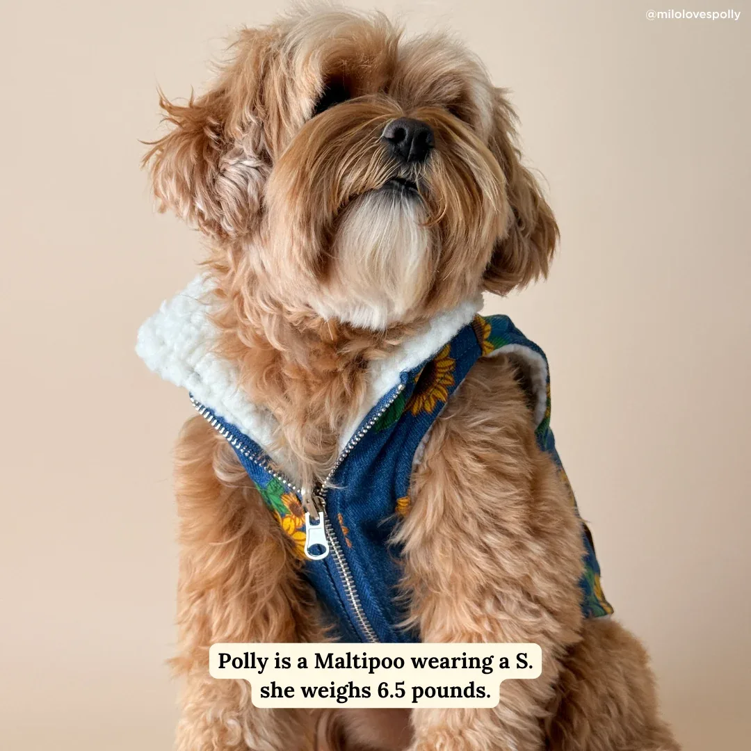Sunflower Power Reversible Teddy Vest - Image 2