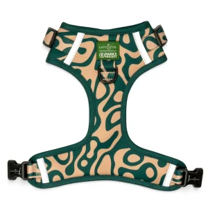 Lucy & Co. x Parks Project Geyser No-Pull Harness