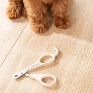 Mini Dog Nail Clippers