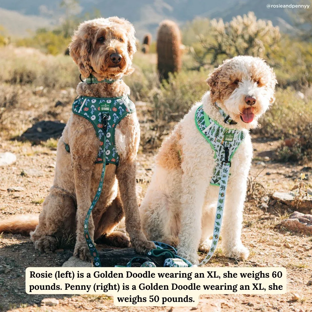 Lucy & Co. x Parks Project Power to the Parks No-Pull Harness - Image 2