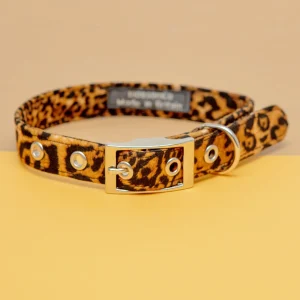 Leopard Dog Collar <>