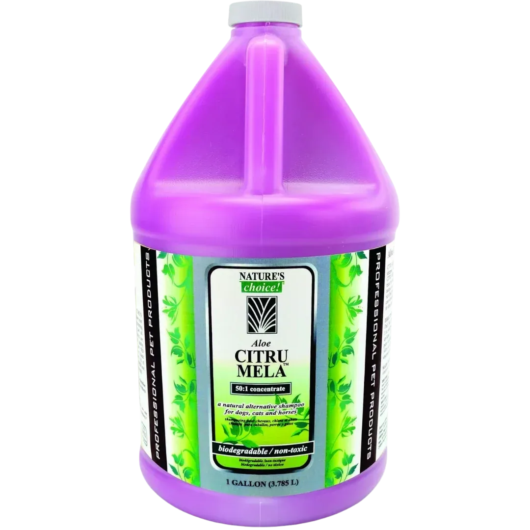 Aloe Citru-Mela Shampoo 50:1 Gallon by Nature's Choice