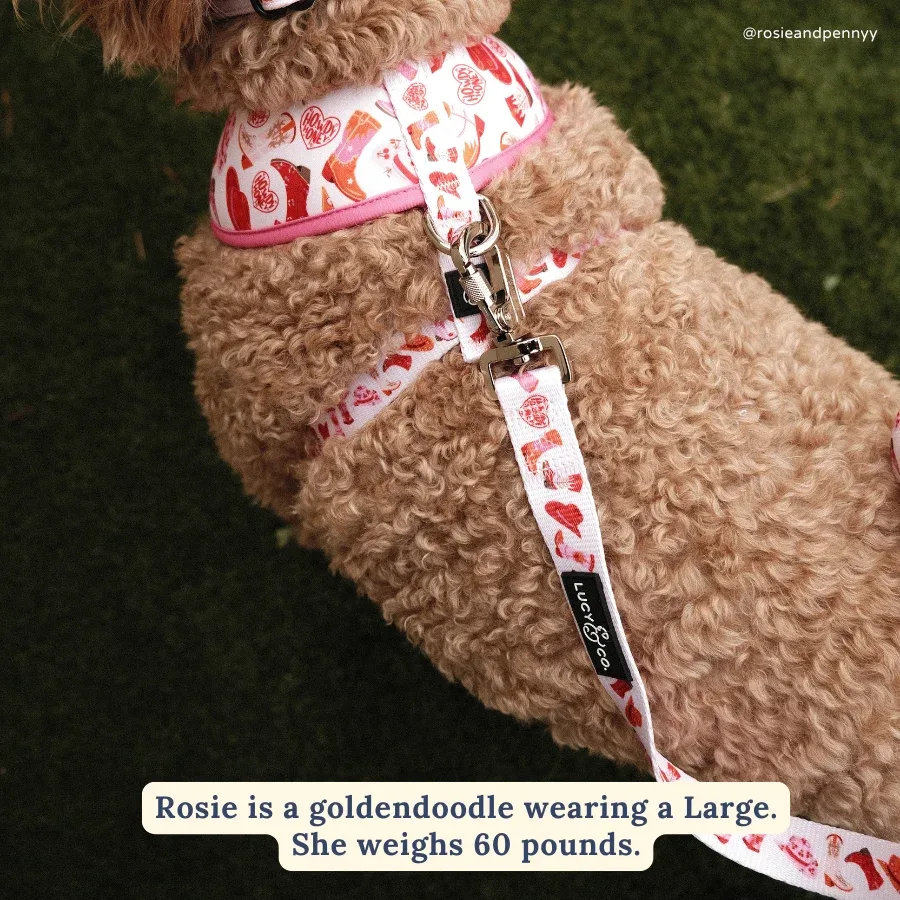 Howdy, Honey Leash - Image 2