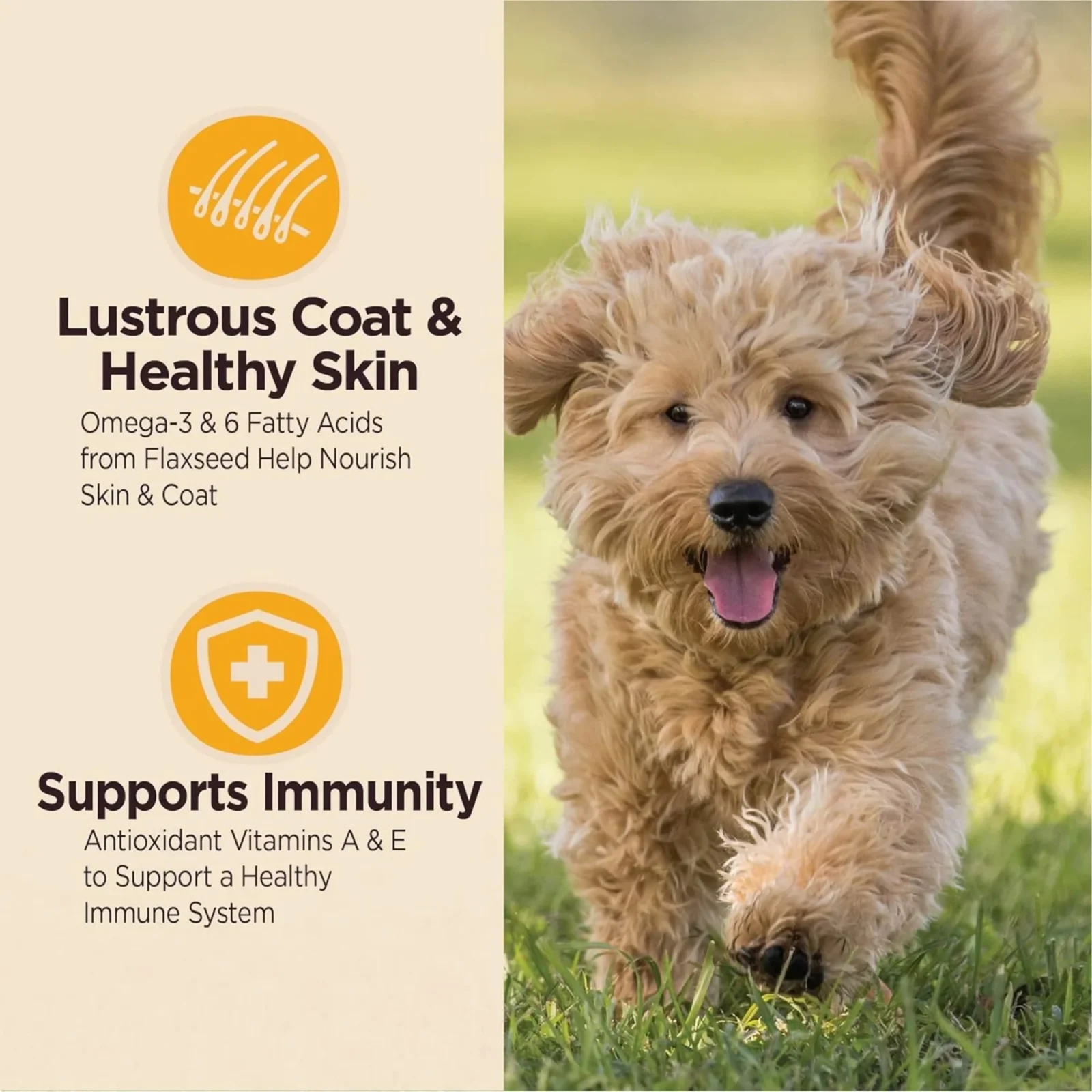 Wellness Core Digestive Health 4Lb Puppy Chicken Brown Rice - Image 2