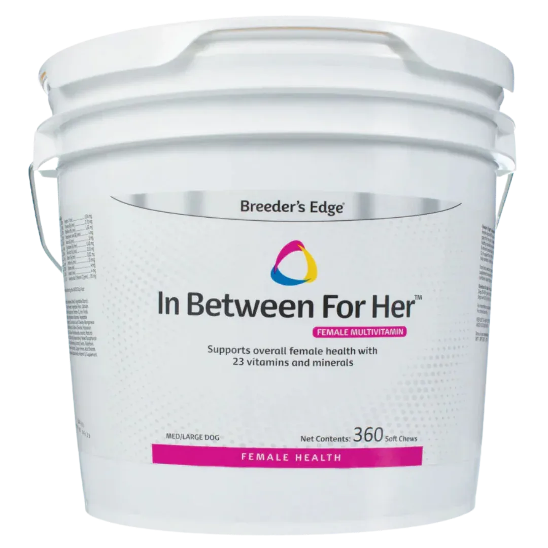In Between For Her 360ct Medium/Large Dog by Breeder's Edge