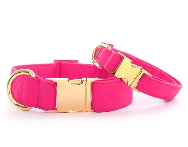 Hot Pink Dog Collar(Made in the USA) (FINAL SALE) - Image 2