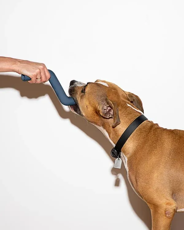 Bolt Bite Dog Toy in Navy - Image 2