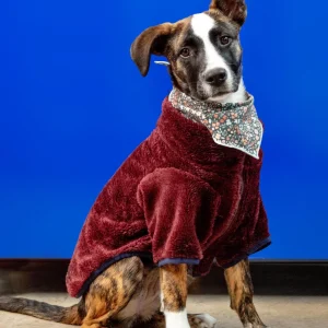 Zippy Dog Fleece in Burgundy (FINAL SALE)