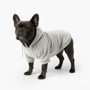 Signature Dog Hoodies - Grey