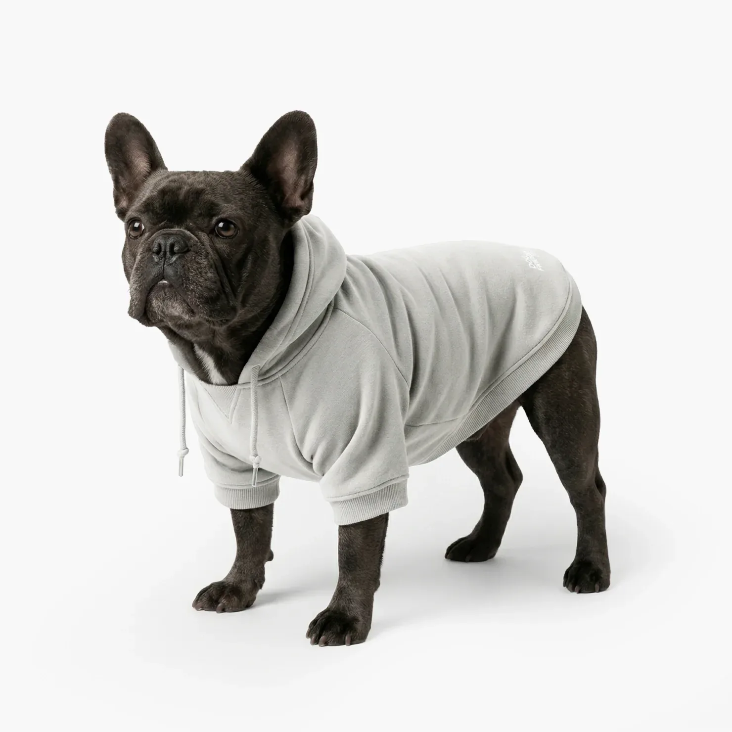 Signature Dog Hoodies - Grey