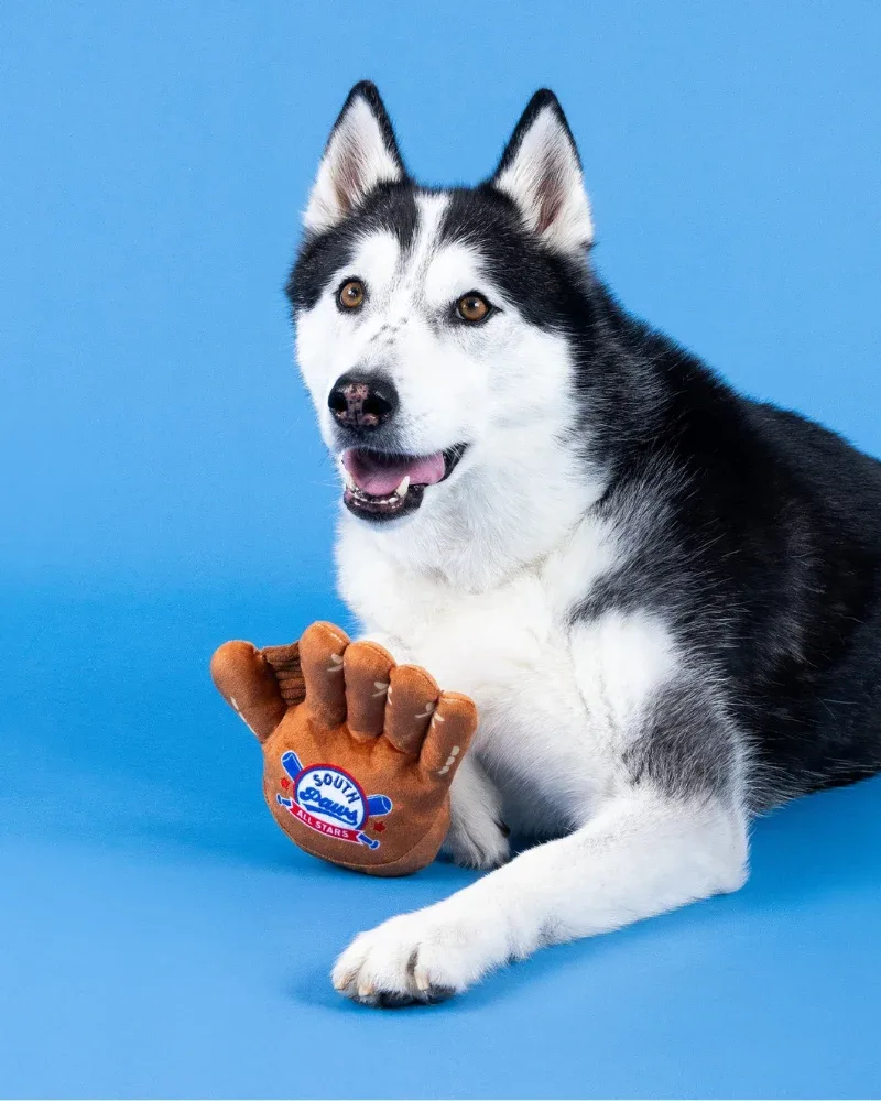 Catch, You're Out! Plush Squeaky Dog Toy - Image 2