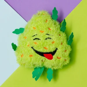 BUD the Squeaky Dog Toy