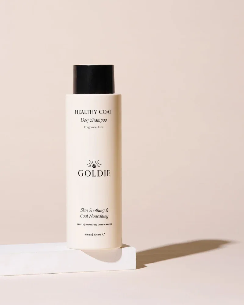 Healthy Coat Dog Shampoo