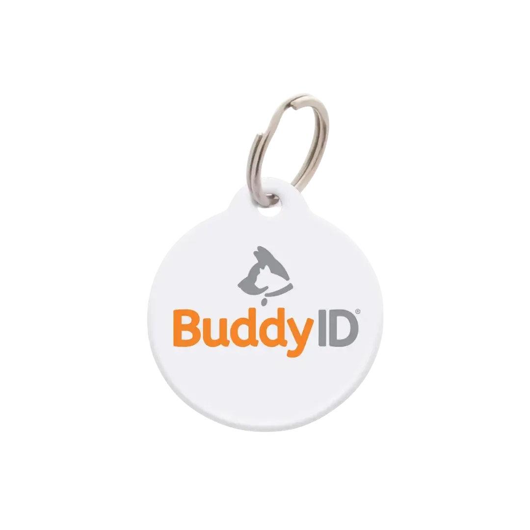 BuddyBadge Collar Tag with Registration by BuddyID - Image 2