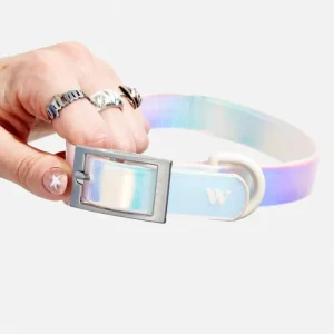 Holographic Lunar Dog Collar (FINAL SALE)