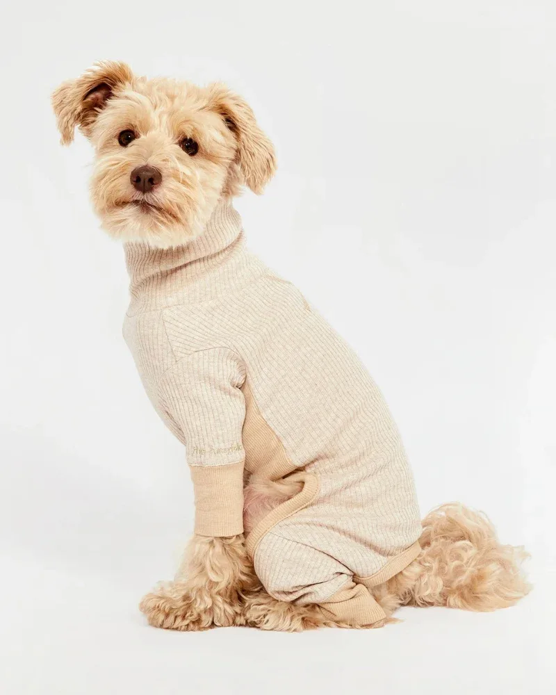 High-Neck Dog Onesie in Beige (FINAL SALE)