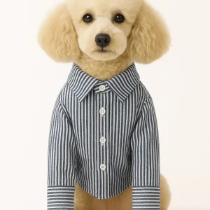 Slim Fit Organic Cotton Button Down Dog Shirt in Striped Navy Blue (FINAL SALE)