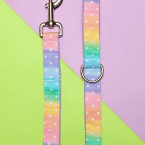 Pastel Rainbow Ombre Dot Print Dog Leash (FINAL SALE)