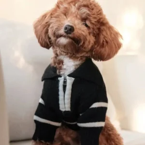 Cortado Striped Zipper Turtleneck Dog Sweater (FINAL SALE)