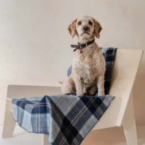 Recycled Wool Pet Blanket in Bannockbane Silver Tartan