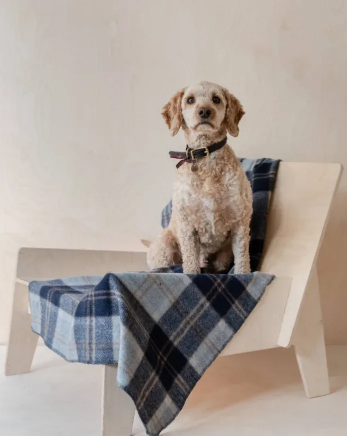 Recycled Wool Pet Blanket in Bannockbane Silver Tartan