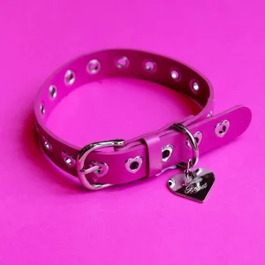 You Mean The World To Me Dog Collar in Peony