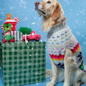 Rainbow Snowflake Wool Dog Sweater (FINAL SALE)