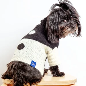 U + Me Dog Sweater (FINAL SALE)