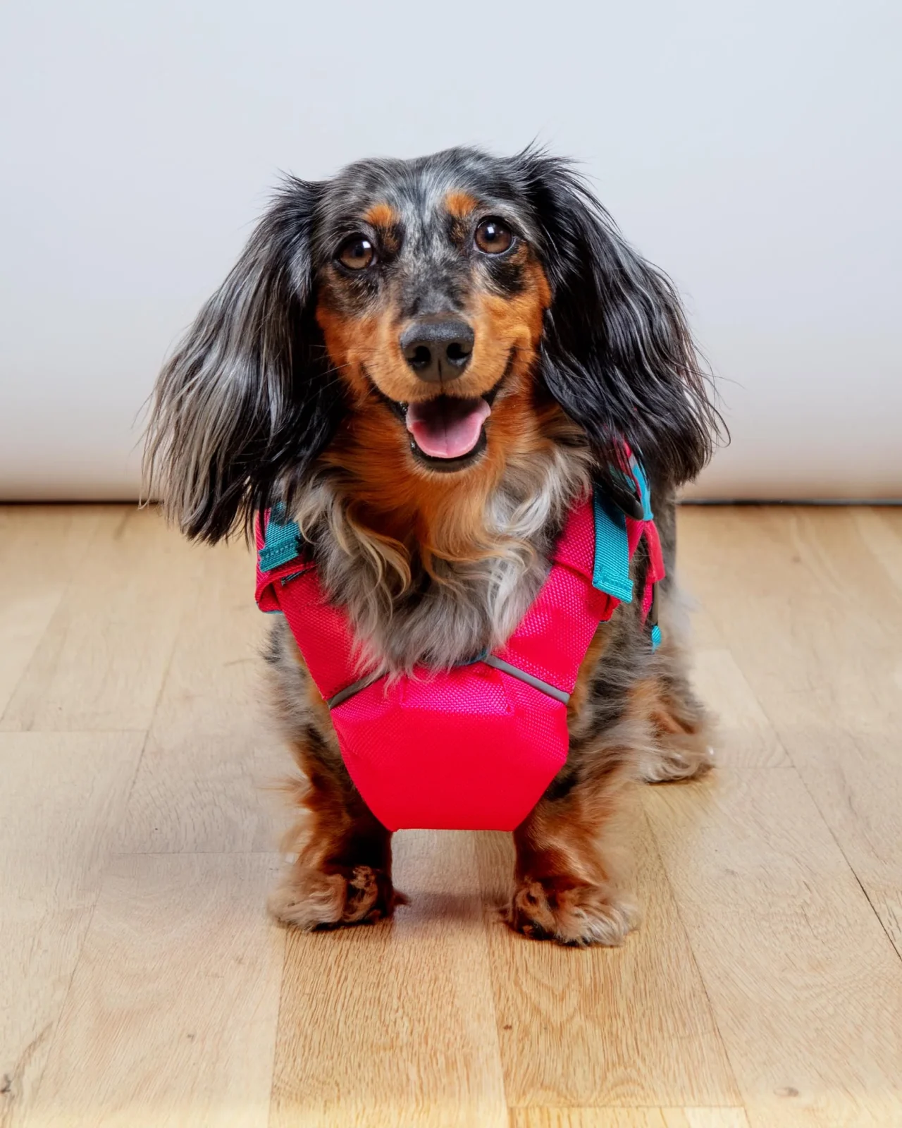 Monterey Bay Offshore Dog Life Jacket in Sunset Pink - Image 2